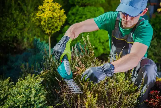 landscaping services Munnsville